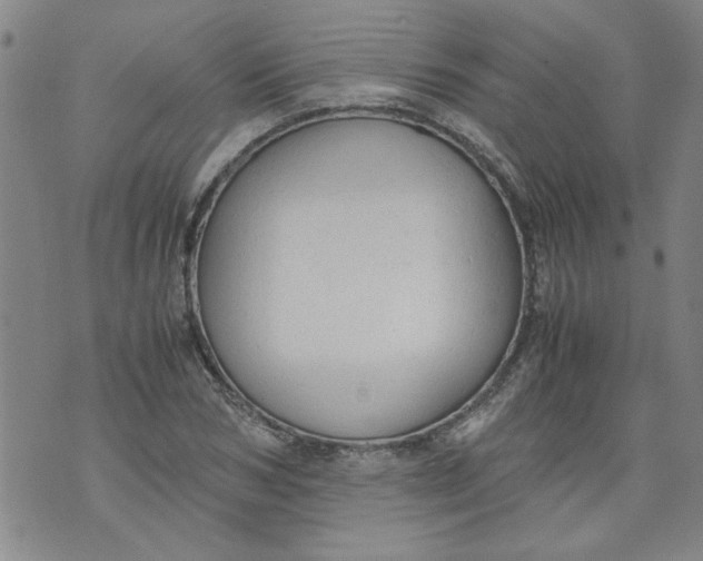 X0000072550978200608041644