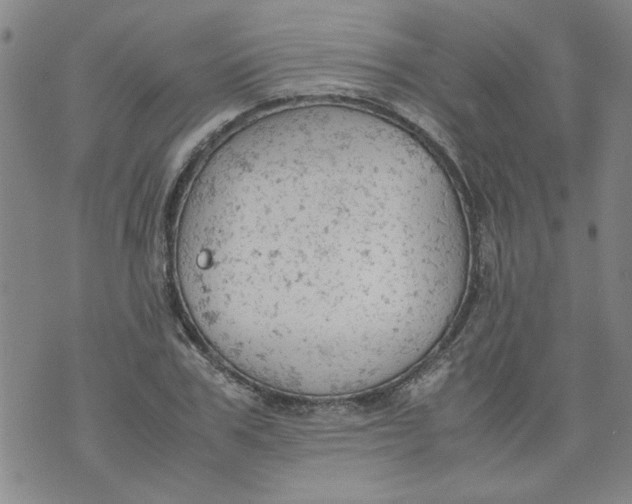 X0000072550979200608041644