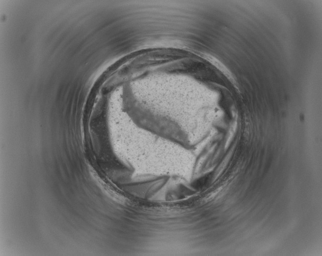 X0000072550980200608041644