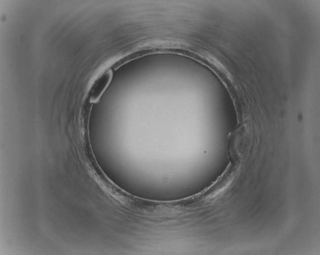 X0000072550981200608041644