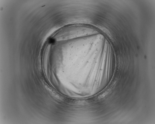 X0000072550982200608041644