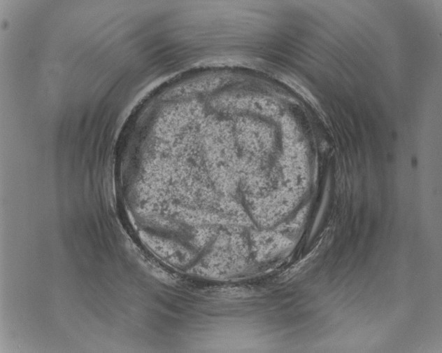 X0000072550984200608041644