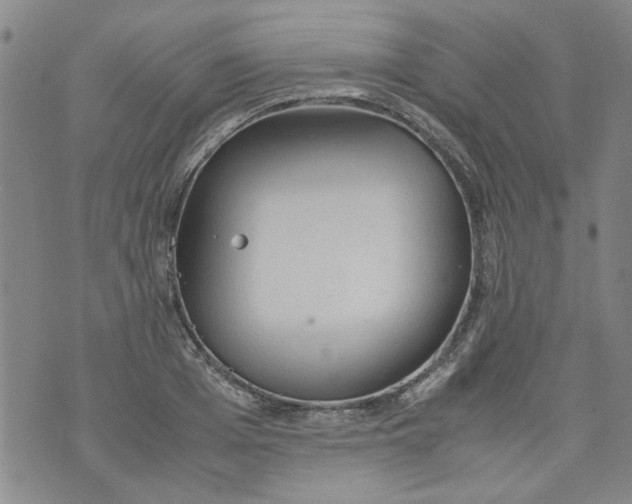 X0000072550985200608041643