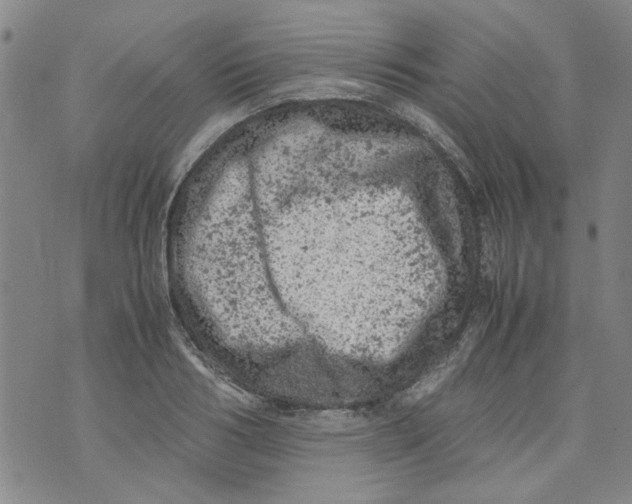 X0000072550986200608041643