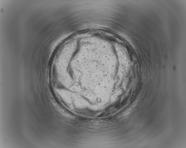 X0000072550987200608041643