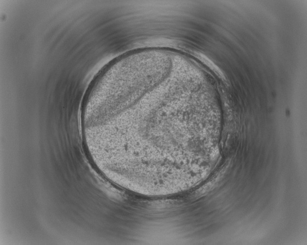 X0000072550988200608041643