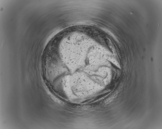 X0000072550991200608041643