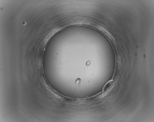 X0000072550993200608041643