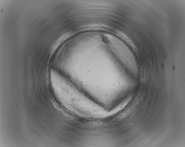 X0000072550994200608041643