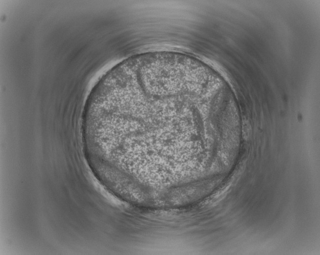 X0000072550995200608041643