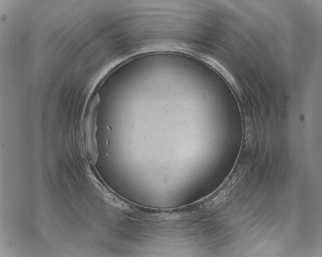 X0000072550996200608041643