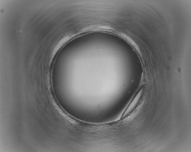 X0000072550997200608041643