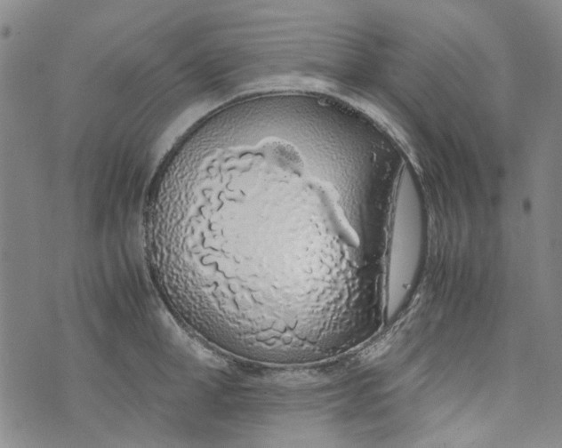 X0000072550998200608041643