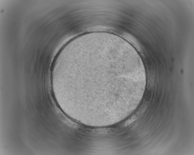 X0000072551000200608041643