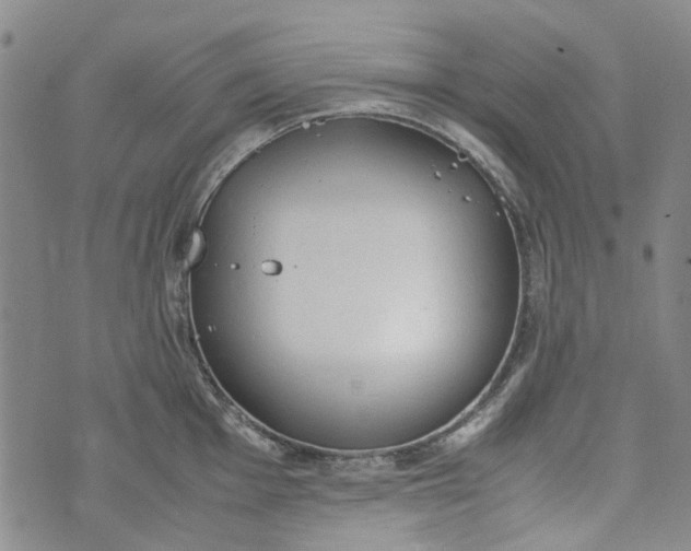 X0000072551001200608041643