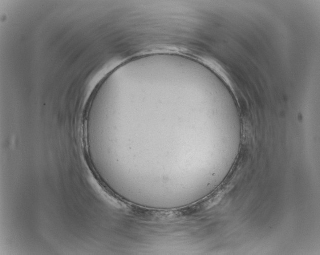 X0000072551003200608041643