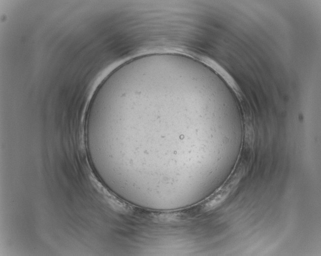 X0000072551004200608041643