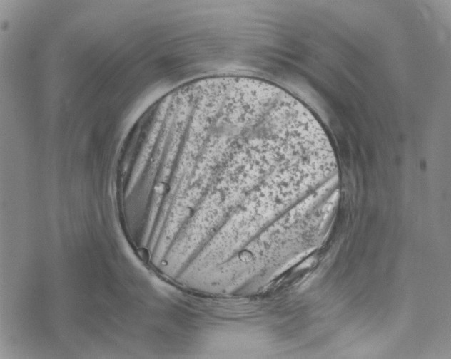 X0000072551007200608041643