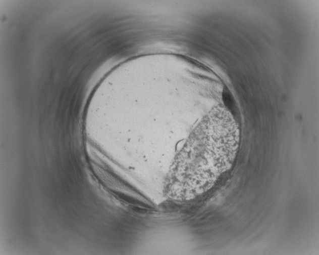 X0000072551008200608041643