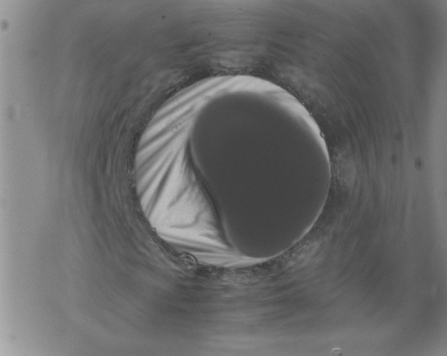 X0000072551009200608041642