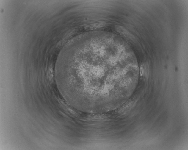 X0000072551011200608041642