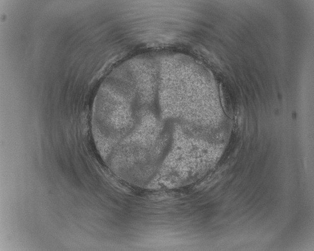 X0000072551012200608041642