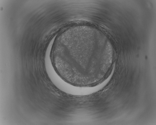 X0000072551014200608041642