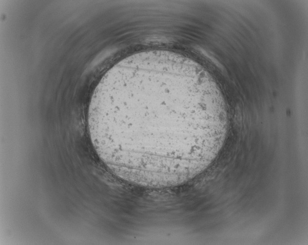 X0000072551015200608041642