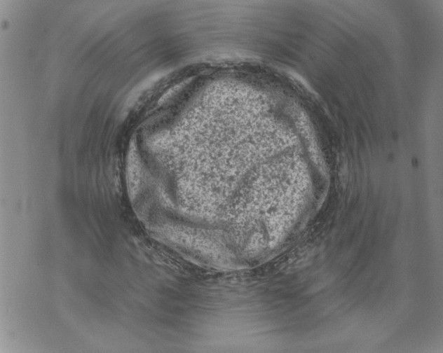 X0000072551016200608041642