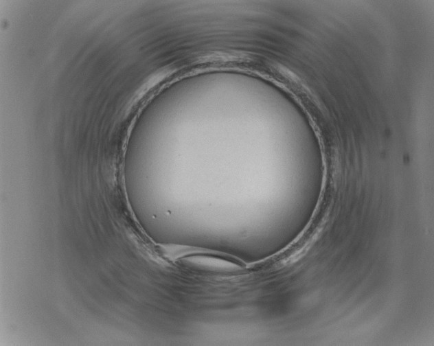 X0000072551017200608041642