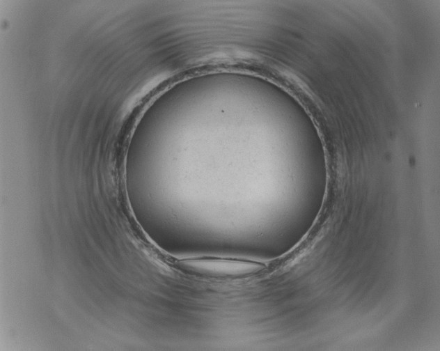 X0000072551018200608041642