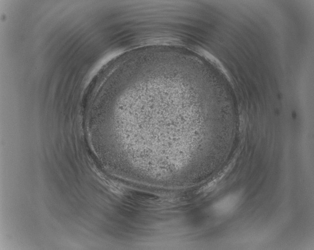 X0000072551019200608041642