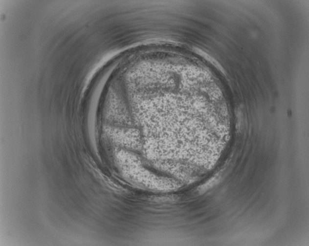 X0000072551021200608041643