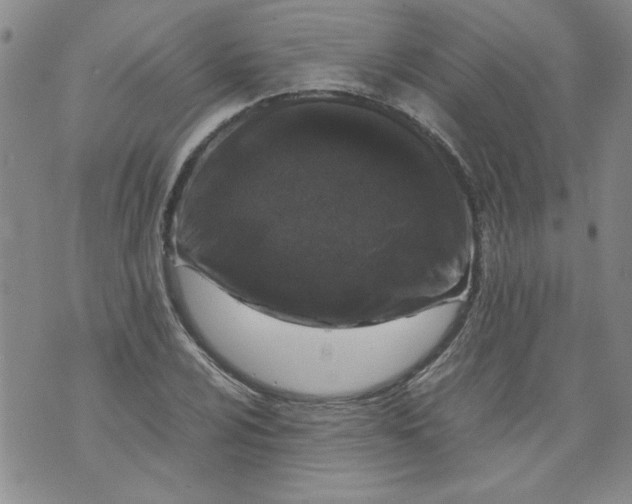 X0000072551024200608041643