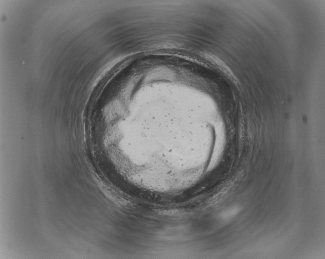 X0000072551031200608041643