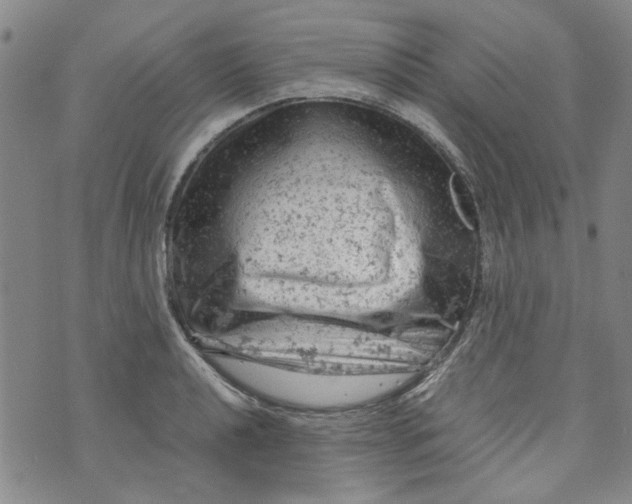 X0000072551040200608041643