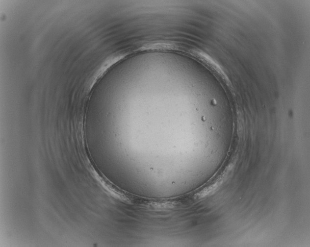 X0000072551041200608041643