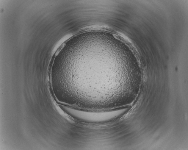 X0000072551042200608041643