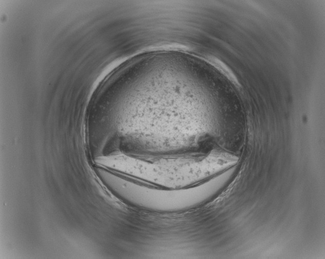 X0000072551044200608041643