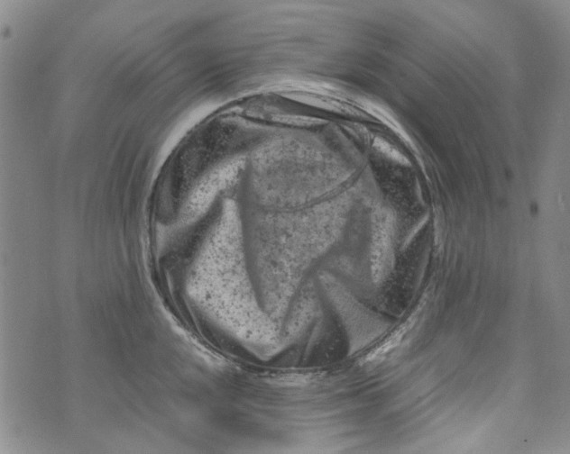 X0000072551048200608041643