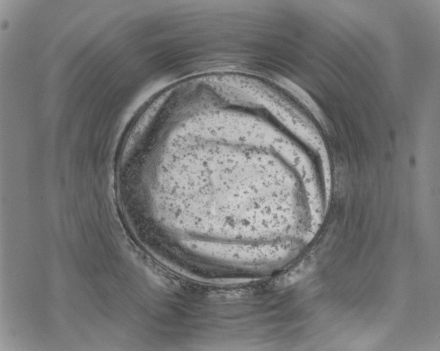 X0000072551051200608041643