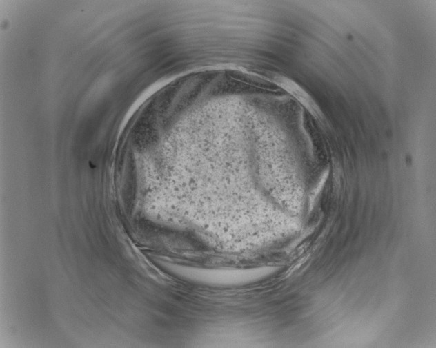 X0000072551052200608041643