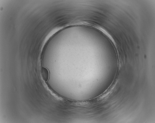 X0000072551053200608041643