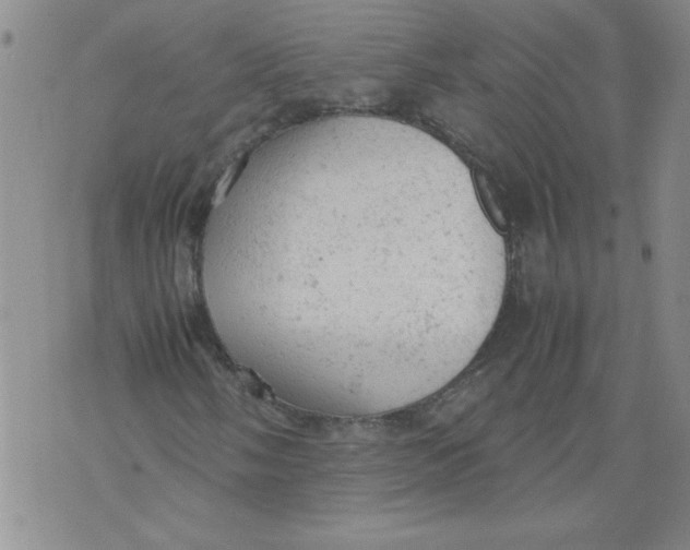 X0000072551058200608041642