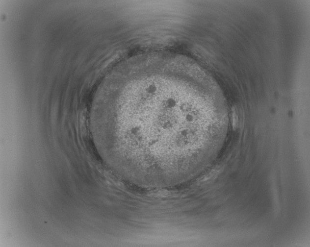 X0000072551059200608041642