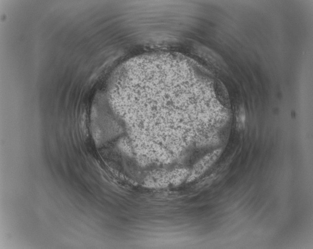 X0000072551060200608041642