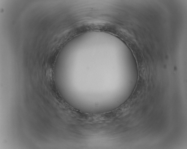 X0000072551061200608041642