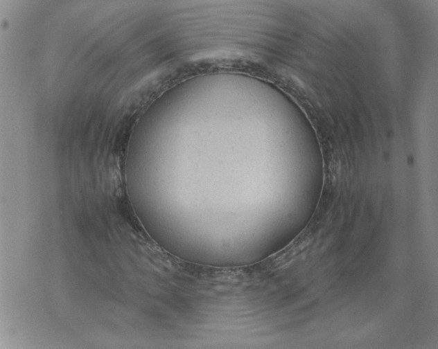 X0000072551062200608041642