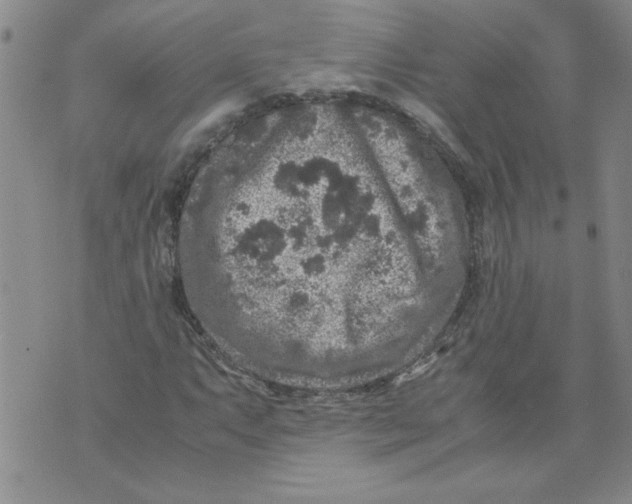 X0000072551063200608041642