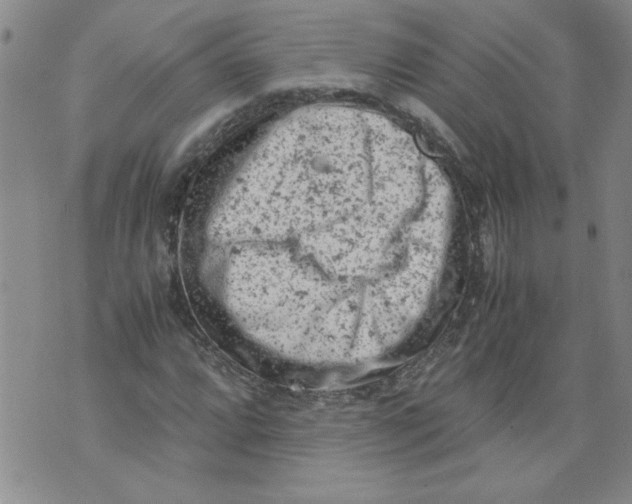 X0000072551064200608041642